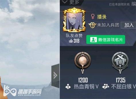 和平精英辅助【哪吒容器直装】全图透视 观战透视 增加爆率 锁死自瞄 掩体漏打 物资显示